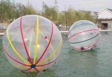 Comercial Büyük Şişme Su Oyuncaklar, Yetişkin İçin Şişme Su Renkli Yürüyüş Topu