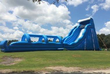 Dev Yetişkinler Mavi Uzun Çift Şişme Kayma Ve Havuzlu Slide