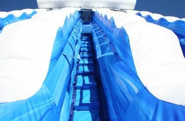 PVC Tente Malzeme ile Mavi 22 ft Dolphin Çift şeritli Cali Ocean Şişme Su Kaydırakları