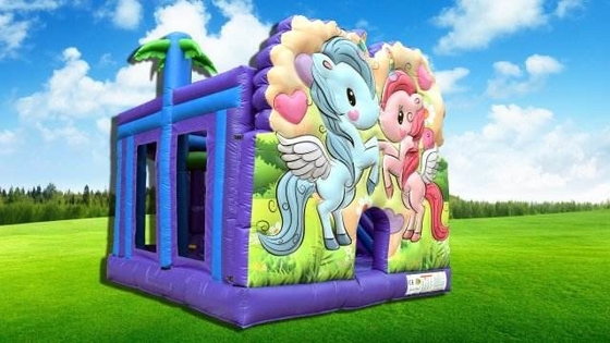 Backyard Unicorn Bouncy Castle Şişme Fedai Ev Kiralama Çocuklar