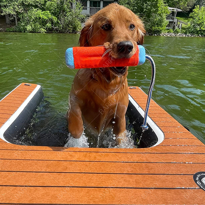 Köpekler Su Oyunu Şişme Yavru Yavru Köpek Rampası Evcil Yavru Rampası Yatay Yatay Platformu Satış için Şişme Köpek Rampası