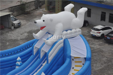 Dev Güzel Yeni Ayı Yüzme Havuzu Slide, Eğlence Parkı İçin Şişme Havuz Slide