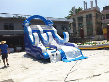 PVC Malzeme ile Mavi Küçük Şişme Yunus Slide / Blow Up Tırmanma Duvarı