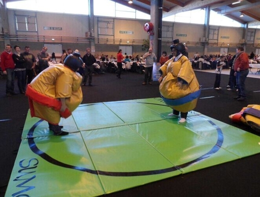 Tente Şişme Sumo Güreş Takımları İnteraktif Spor Oyunları