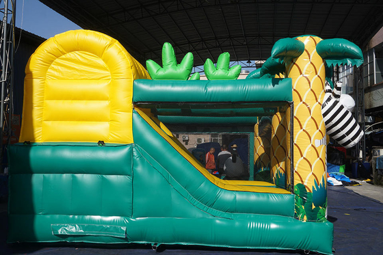 Çocuklar Tente Şişme Atlama Evi Slaytlı Bouncy Castle Combo