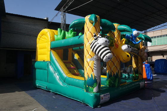 Çocuklar Tente Şişme Atlama Evi Slaytlı Bouncy Castle Combo