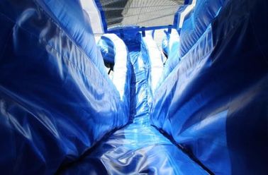 PVC Tente Malzeme ile Mavi 22 ft Dolphin Çift şeritli Cali Ocean Şişme Su Kaydırakları