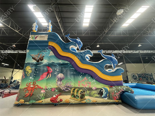 Alışveriş Merkezi Çocukları İçin İç ve Dış Mekan Kullanımı Mavi Köpekbalığı Çift Şeritli Şişme Su Kaydırağı