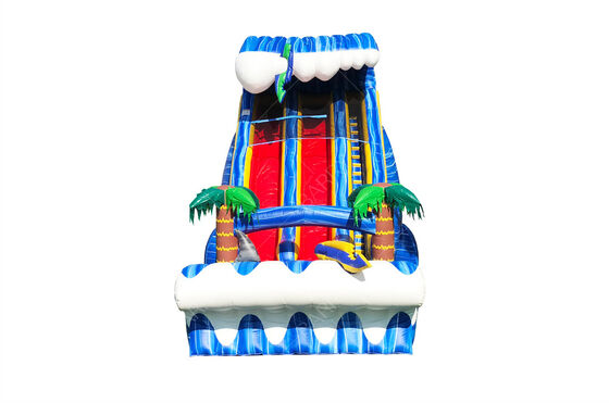 Ticari Sınıf Büyük Açık Hava Arka Bahçe 24ft SHARK SIGHTED ÇİFT ŞERİTLİ Çocuklar ve Yetişkinler İçin Kaydırak