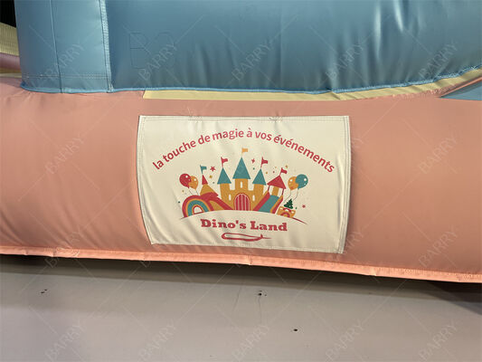 Pembe ve Mavi Prenses Pastel Kale Slide ile şişme sıçrama evi