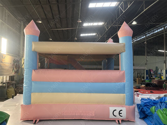 Pembe ve Mavi Prenses Pastel Kale Slide ile şişme sıçrama evi