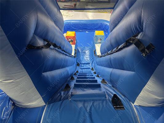 Ev Kullanımı İçin Ticari Mavi Dalga Çocuk Bahçe PVC Şişme Kaydırak ve Havuz