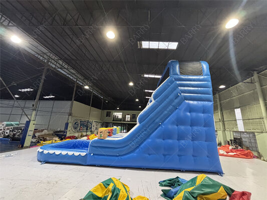 Ev Kullanımı İçin Ticari Mavi Dalga Çocuk Bahçe PVC Şişme Kaydırak ve Havuz