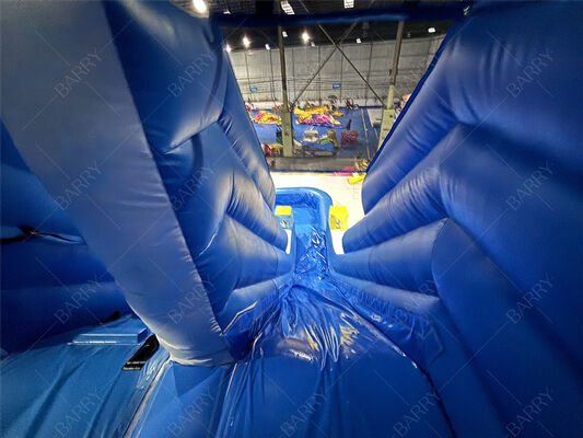 Ev Kullanımı İçin Ticari Mavi Dalga Çocuk Bahçe PVC Şişme Kaydırak ve Havuz