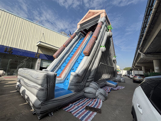 Ticari Kalite Dev Şişme Su Kaydırma, Tropikal Temel Çift Şeritli Islak/Kuru Kaydırma Eğlence Parkları ve Festivaller İçin