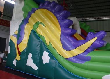 Dayanıklı Plato PVC Tente ile Dragon Trippo Ticari Şişme Slide