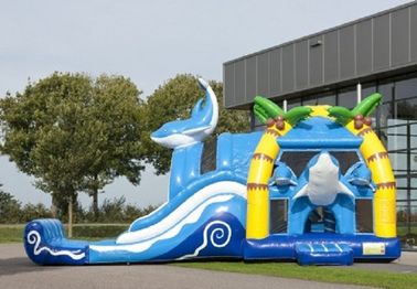 2 In 1 Yunus Big Bouncy Castles Şişme Amacıyla Kaçık Çift Kaydıraklı Şişme