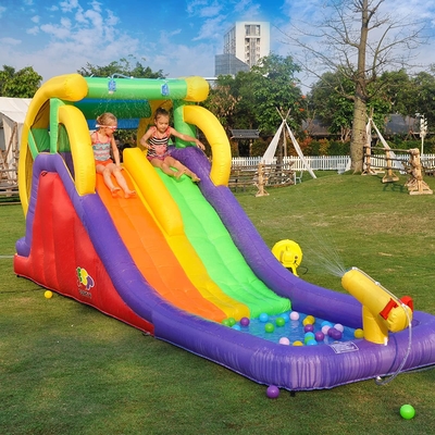 Çizgi Film 0.55mm PVC 16 Ft Çocuklar İçin Havuz Çift Şeritli Şişme Su Kaydırağı