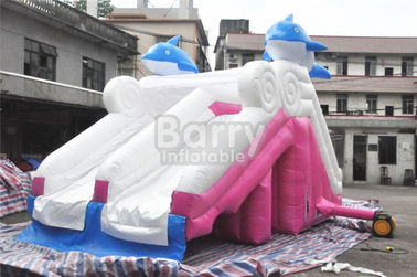 Yüzme Havuzu için 0.55mm Pvc Tente Malzeme Yunus Pembe Şişme Slide