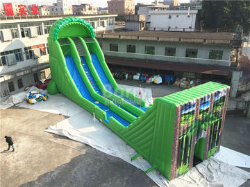 Yetişkinler Yeşil Renk İçin Ticari Dev Şişme Zip Hattı Slide