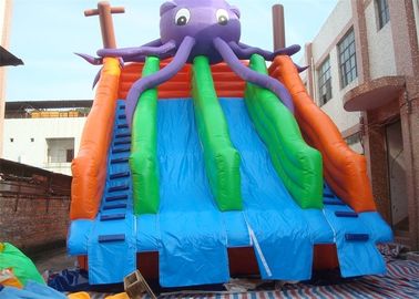 Eğlenceli Ticari Şişme Slide, Su Parkı İçin Şişme Havuz Slide